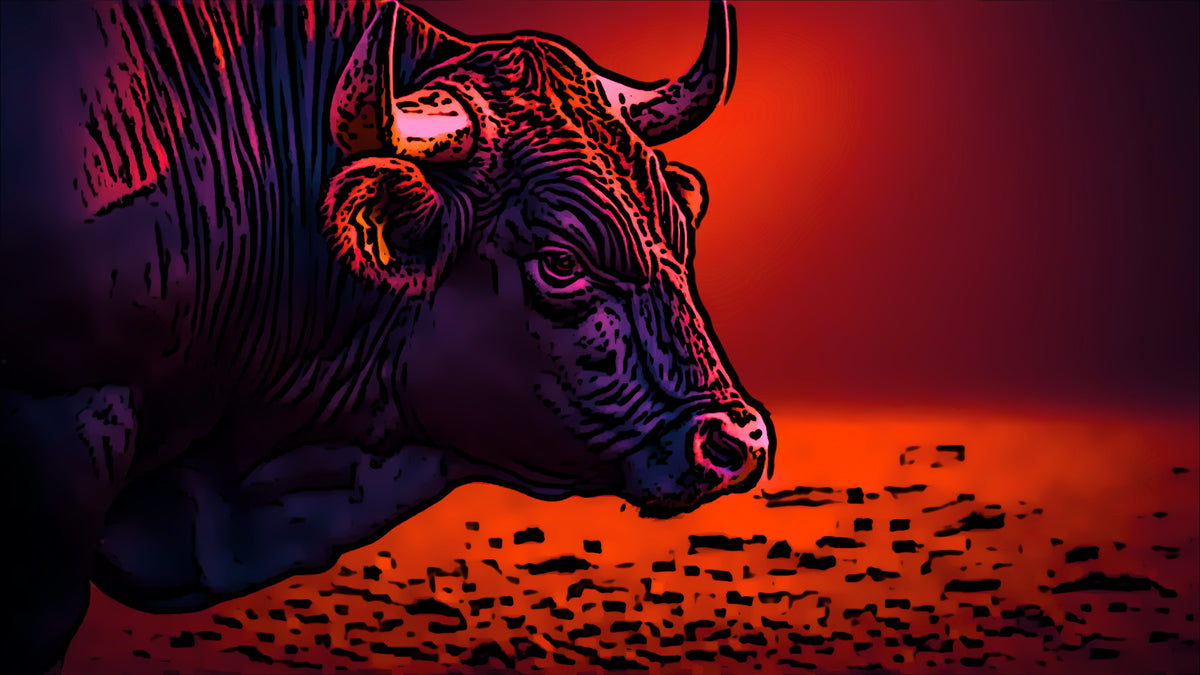 The Bull