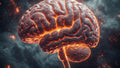 The Mind
